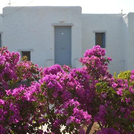 Seaview Daire Ambelas